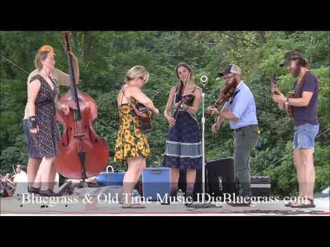 The Kentucky Roundups - Stringband Competition