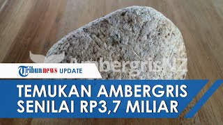 Jalan-jalan di Pantai, Seorang IRT Temukan Muntahan Paus Senilai Rp 3,7 Miliar