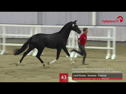 43 Hengst v. Lord Nunes - Sorento - Festival