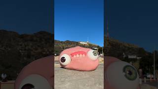 Blob visits the Hollywood sign