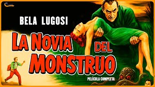 Thumbnail del capítulo