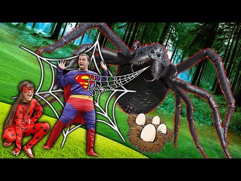 LADYBUG E SUPER HOMEM VS ARANHA GIGANTE DE SLIME