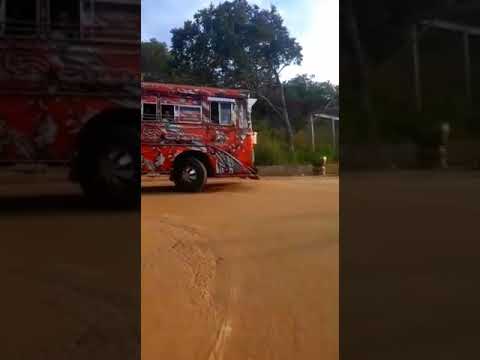 Sodi naga traveling kingdom