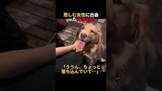 悲しむ女性に出会った犬の行動#犬のいる暮らし #わんこのいる生活 #犬の優しさ #優しい世界 #涙腺崩壊
