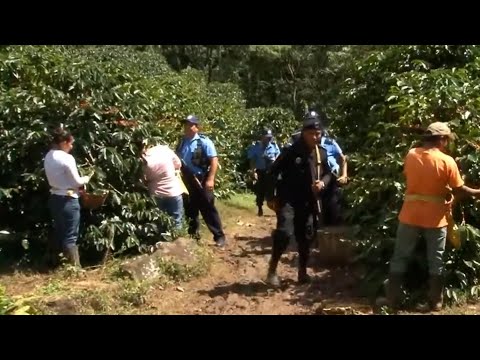 Policía Nacional de Nicaragua detiene a 54 personas en operativos rurales