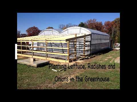 , title : 'Planting Lettuce, Radishes and Onions in the Greenhouse'