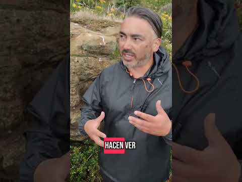 La roca cancahua llamado el Moái de Chiloé.
