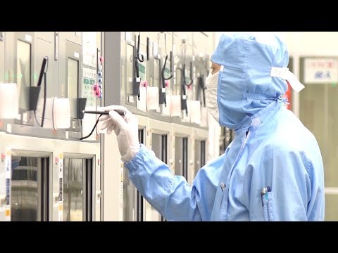 オロバンシュ sp.