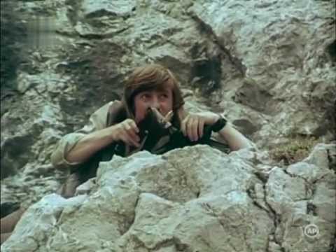 Fiul muntilor - 1980 film romanesc