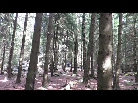 Stempelstelle 14 Schnarcherklippen - Harzer Wandernadel