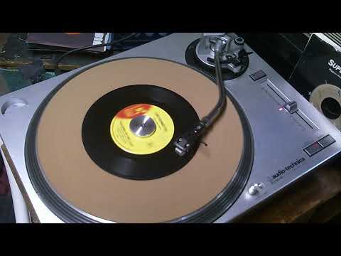 Walking In The Rain   The Ronettes