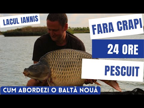 24H de Pescuit Dificil - În Căutarea CRAPIlor pe Lacul IANNIS | Partida de 48H"