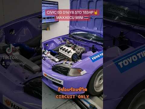 CIVIC EG D16Y8 STD + MAXXECU MINI 🇹🇭 #d16y8  #honda #singlecam #maxxecu #civic #june_racing