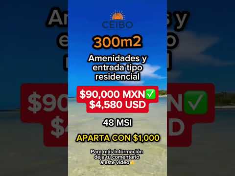 TERRENO EN PLAYA SANTA CLARA YUCATÁN #terrenosenventaenyucatan #santaclara #yucatán #terreno