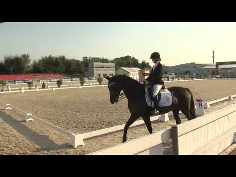 Starší junioři, sobota 12. 9. – Mistrovství ČR v drezuře 2020 Olomouc