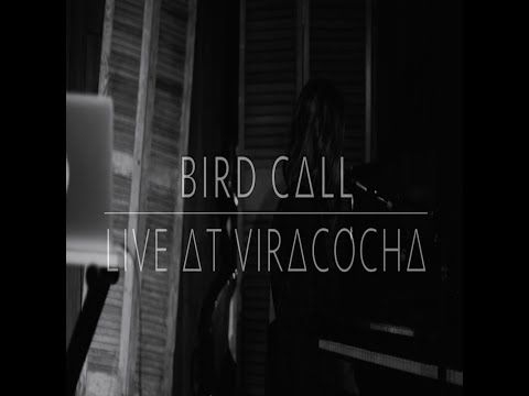 BIRD C∆ll LIVE AT VIRACOCHA