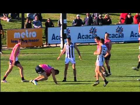 2011 VFL Round 11 Mark of the Day - Brendan Fevola