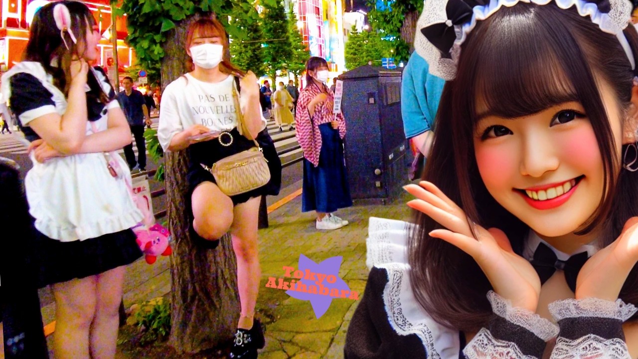 Meeting in Akihabara, Tokyo 🐶💖 4K Nonstop 1 Hour