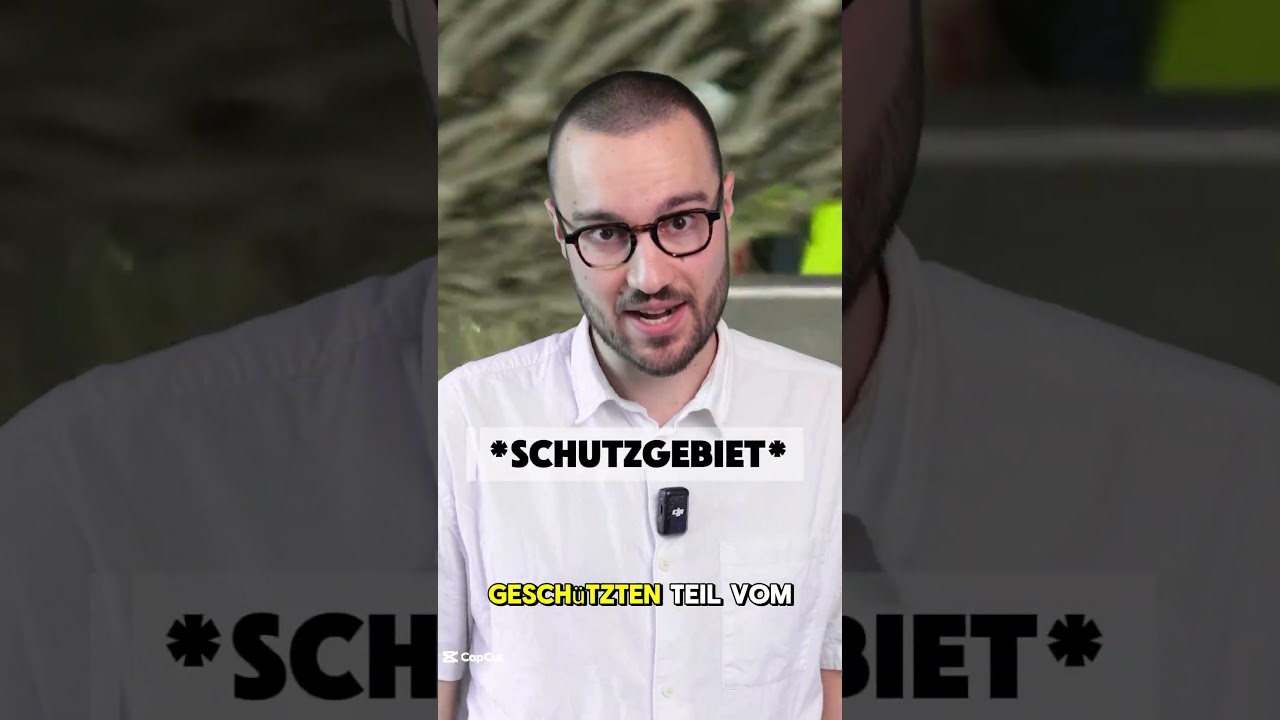 Grundschleppnetze raus aus dem Wattenmeer!