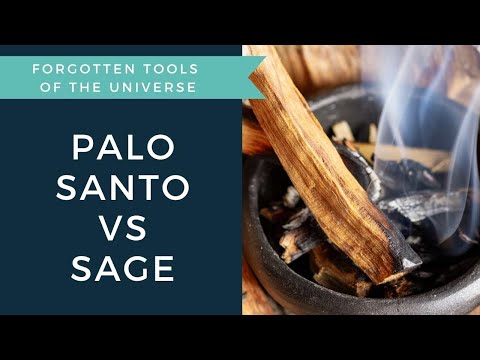 Palo Santo vs Sage: Which Should You Use