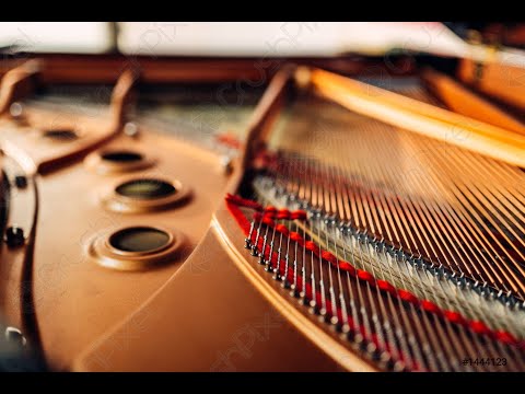 Franz Liszt: la Campanella, Michelangelo Stregapede (pianoforte)