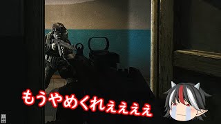 #22 【EFT】やられまくってる動画【ゆっくり実況】