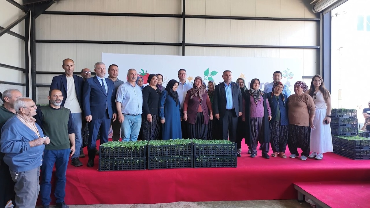 Aladağ’da 400 bin domates fidesini hemşehrilerimizle buluşturduk