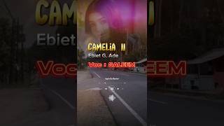 Download lagu Camelia II Ebiet G Ade (Cover) - Saleem mp3 Download lagu Camelia II Ebiet G Ade (Cover) - Saleem mp3