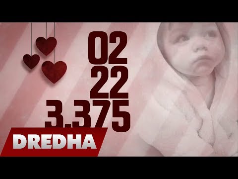 Dredha - Ditëlindja e LEONËS ( Official Song 2014 )