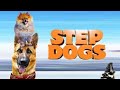 Step Dogs Tamil Dubbed Movie Tamildubbedmovie Tamilmovie