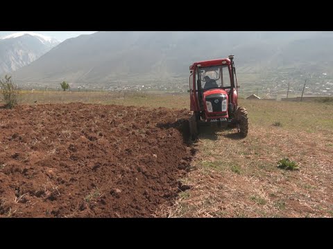 Pasojat e pandemisë në Kukës, shitësit e farërave bujqësore në vështirësi ekonomike