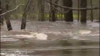 Water Over Wistle Bridge Below our place near Tunnel Dam Missouri