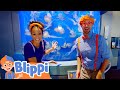 Blippi Explores The Aquarium Of The Pacific Fun And Educational Videos For Kids