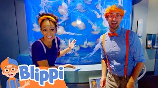 Download lagu Blippi Explores The Aquarium of The Pacific | Fun and Educational Videos for Kids mp3