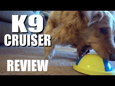 K9 Cruiser Review: Sliding Dog Toy | As Seen on TV