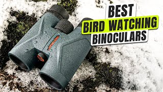 3 BEST Bird Watching Binoculars