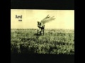 David - Song of freedom.