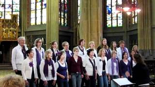 Hoge Noot - Lonely Avenue