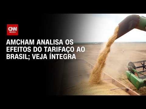 Amcham explica quais os efeitos do tarifaço dos EUA ao Brasil | CNN 360°
