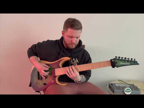 Vilified - "Embrace the Nothing" (Guitar Playthrough)