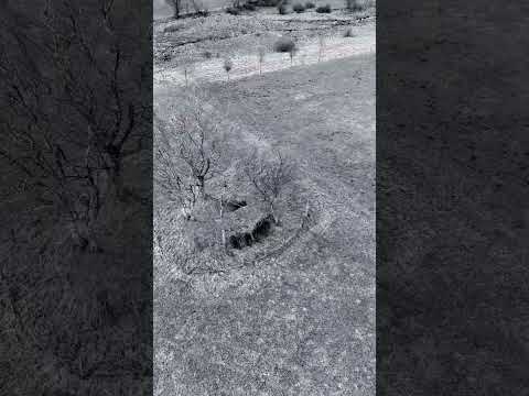 Der Westwall - Bunker der Grenzwacht Nr. 10 in Simmerath