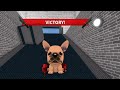 I PLAYED MM2 AS A DOG Murder Mystery 2