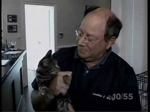 St. Maarten Cat Rescue at Merrick and Roslyn-Greenvale Veterinary Groups