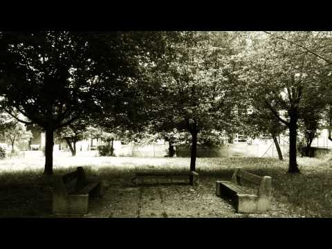 Shadows Of The Fallen - I'm Your Despair