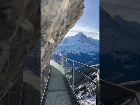 Grindelwald First - The heart of Switzerland!🇨🇭🏔️
