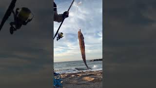 浜からの投げ釣り
