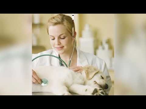 Graad 10's Vakkeuses 2022 - Lewenswetenskappe