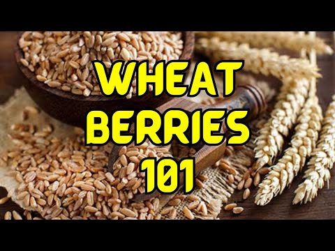 Wheat Berries: The Ultimate Guide to Long-Term Storage