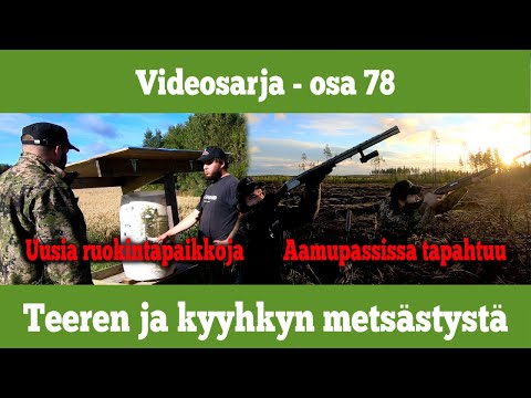 Osa 78 - Teeren ja kyyhkyn metsästystä - kausi 2020/2021