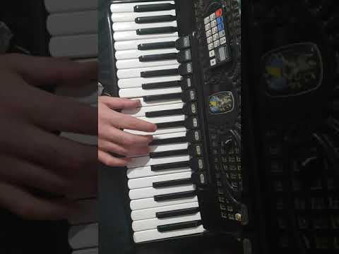 Tutorial Acordeon @Orga Vasile Pandelescu Silviana